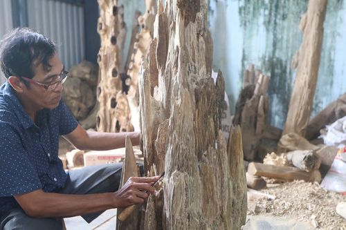 Nghề tinh tường soi ra tiền triệu từ gỗ dó bầu trồng tại vườn