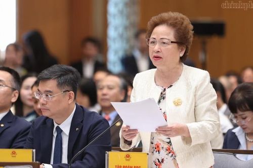 Chủ tịch BRG đề xuất hỗ trợ lãi suất 2%/năm từ ngân sách nhà nước cho dự án xanh