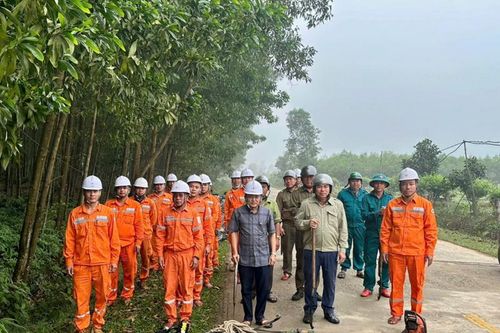 Hà Tĩnh: Chủ động bảo vệ hành lang lưới điện trước mùa mưa bão