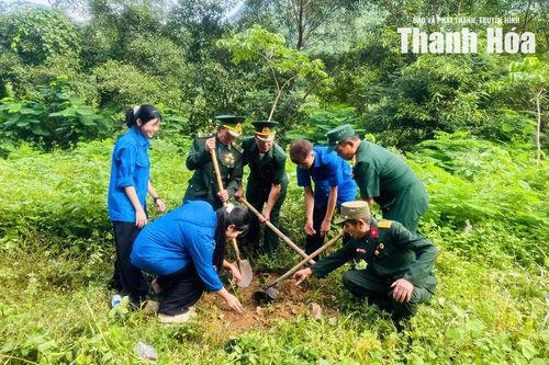 Đoàn Thanh niên xã Mường Lát triển khai mô hình 'Hàng cây thanh niên'