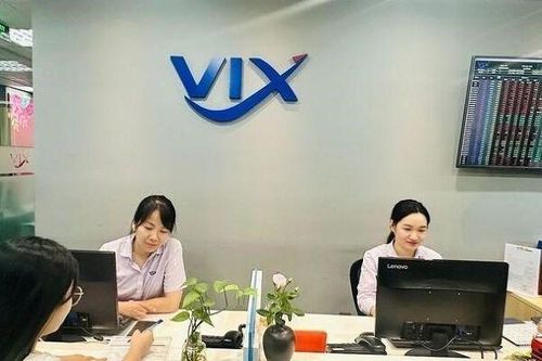 Chứng khoán VIX báo lãi quý II giảm 94%