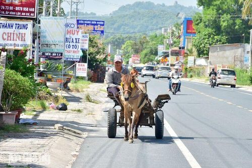 Những chuyến xe ngựa cuối cùng ở Bảy Núi