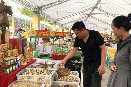 Đưa hàng Việt và sản phẩm OCOP vươn xa