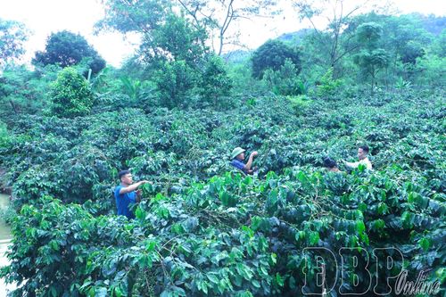 Mường Ảng - hướng tới mục tiêu tăng trưởng hai con số