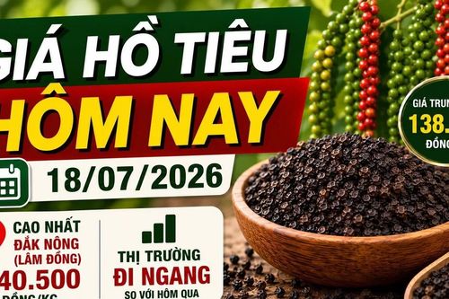 Giá hồ tiêu hôm nay 18/7: Thị trường đi ngang