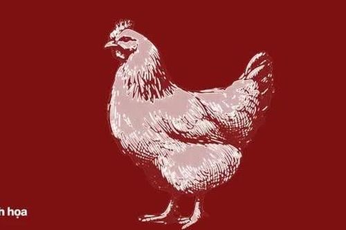 Cụ ông nguy kịch sau khi bị gà mổ vào chân