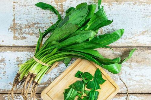 Xác định hàm lượng phenolic, flavonoid và saponin tổng số trong cây ngò gai (Eryngium foetidum L.)