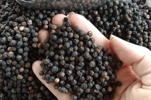 Việt Nam thu gần 1 tỷ USD từ xuất khẩu hạt tiêu