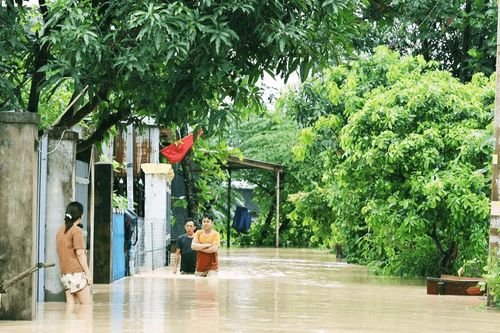 Quỹ Nông nghiệp và Môi trường TP. Đồng Nai đẩy mạnh công tác phòng chống thiên tai Chủ động phòng ngừa, ứng phó