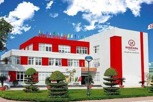 Đình chỉ hai kiểm toán viên RSM Việt Nam liên quan báo cáo tài chính của Xuân Hòa (XHC)