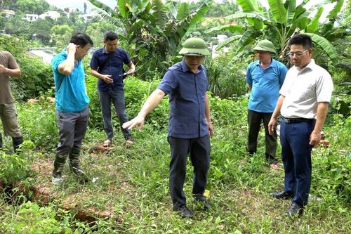 Kiểm tra khu vực sạt lở đất tại tổ Hòa Chung 1, phường Tân Giang