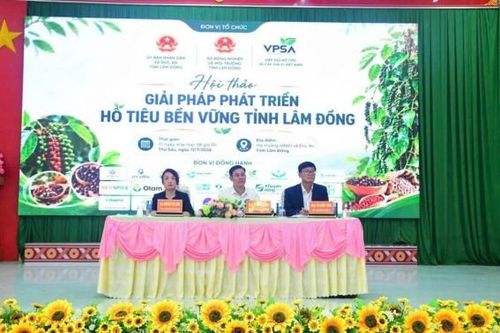 Tổ chức Hội thảo giải pháp phát triển hồ tiêu bền vững tỉnh Lâm Đồng