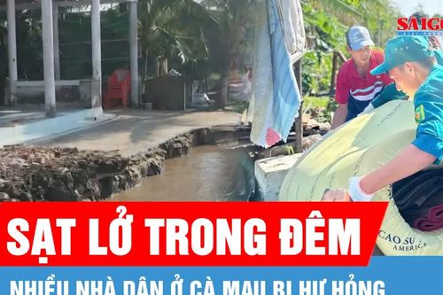 Cà Mau: Sạt lở đất trong đêm, nhiều nhà dân hư hỏng