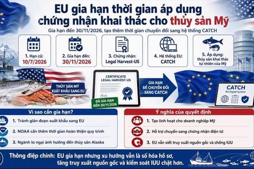 EU gia hạn thời gian áp dụng chứng nhận khai thác cho thủy sản Mỹ, tín hiệu gì cho Việt Nam?
