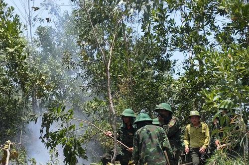200 cán bộ, chiến sĩ dập tắt cháy rừng ở Đà Nẵng