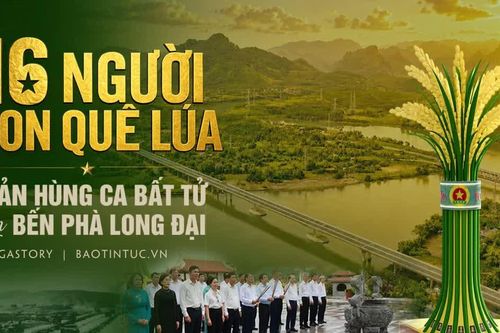 16 người con quê lúa - bản hùng ca bất tử bên bến phà Long Đại