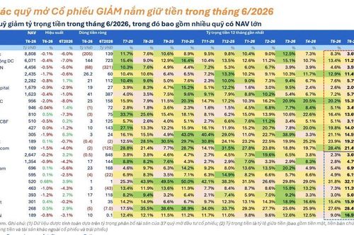 Các 'cá mập' đẩy mạnh giải ngân trong tháng 6, tiền mặt giảm đáng kể