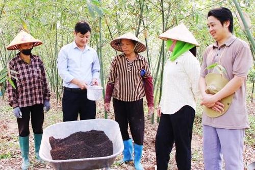 Ứng dụng hệ thống quản lý sức khỏe cây trồng tổng hợp: Đất khỏe, nuôi cây tốt