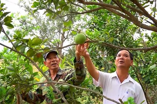 Gần 1.800 người dân xã Phú Thuận được tiếp cận nguồn vốn vay chính sách