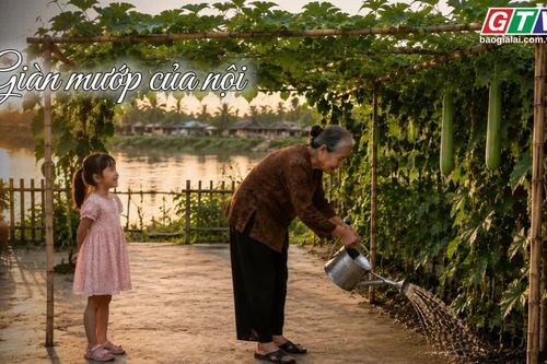 Ngăn ký ức: Giàn mướp của nội