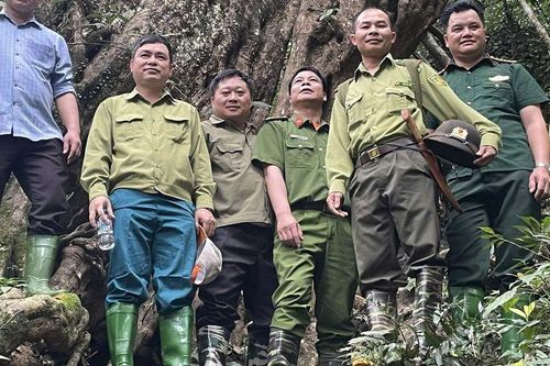 Tuyên Quang: Những bước chân tuần rừng giữ màu xanh đại ngàn Yên Hoa