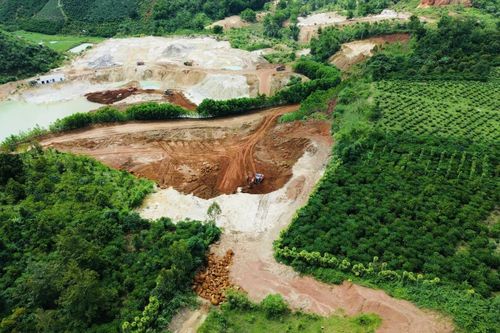 Lâm Đồng huy động cả giáo viên, sinh viên tham gia 'chiến dịch' làm sạch dữ liệu đất đai