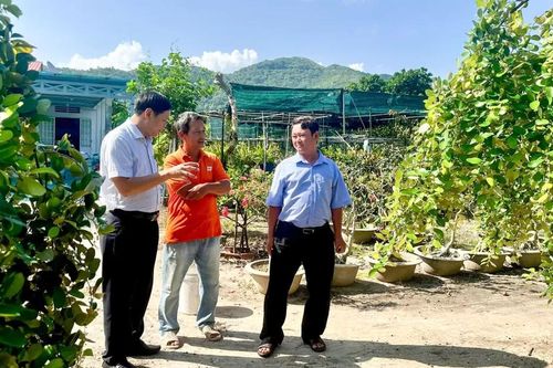 Long Hải khảo sát phát triển du lịch trải nghiệm vườn cây ăn trái