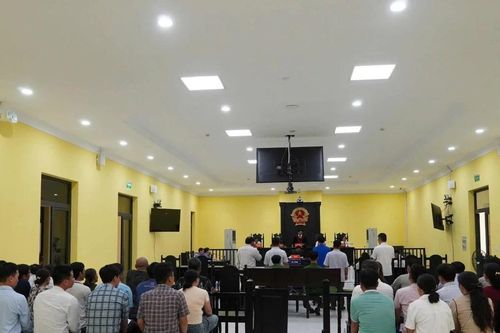 Nhiều cán bộ ở Cà Mau lĩnh án vì tội nhận hối lộ liên quan đăng ký, đăng kiểm