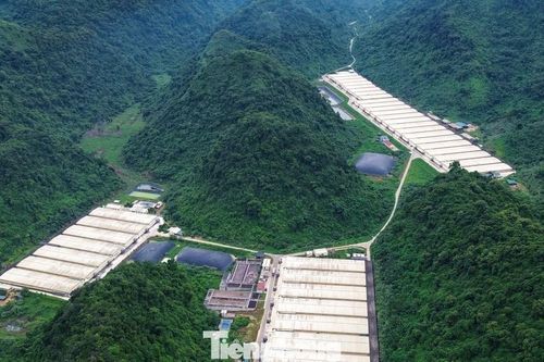 Vụ tai nạn trong trại lợn làm 5 người chết: Doanh nghiệp từng bị xử phạt về môi trường