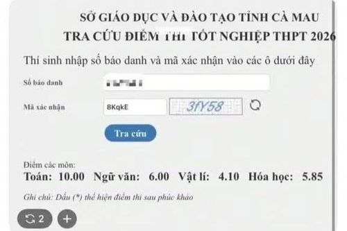 Vụ phản ánh gian lận thi tốt nghiệp ở Cà Mau: Học sinh thừa nhận, sẽ hủy kết quả thi