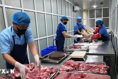 Nâng cao nhận thức, thay đổi hành vi của toàn xã hội về an toàn thực phẩm