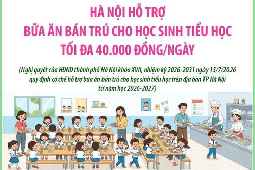 Hà Nội hỗ trợ bữa ăn bán trú cho học sinh tiểu học tối đa 40.000 đồng/ngày