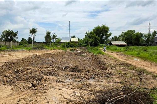Đình chỉ việc tự ý đào, vận chuyển đất tại dự án cao tốc TP Hồ Chí Minh - Mộc Bài
