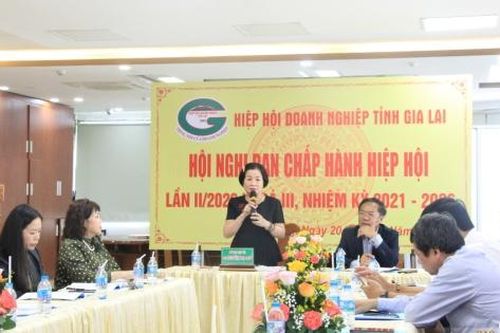 Hiệp hội Doanh nghiệp tỉnh Gia Lai vượt khó, tạo sức bật chặng đường mới