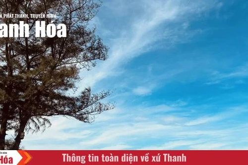 Theo chân nắng hè khám phá Bãi Đông
