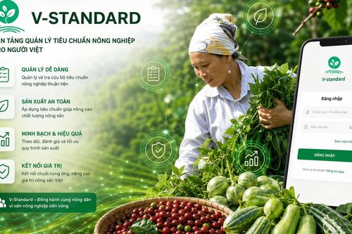 Ra mắt nền tảng V-Standard: Số hóa chứng nhận, truy xuất nguồn gốc nông sản