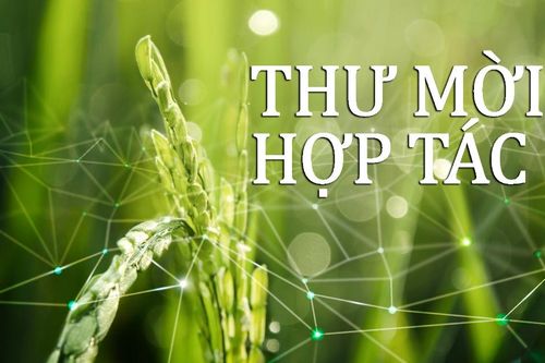 Thư mời hợp tác tổ chức Đại hội đại biểu toàn quốc Liên minh Hợp tác xã Việt Nam lần thứ VII, nhiệm kỳ 2026 - 2031