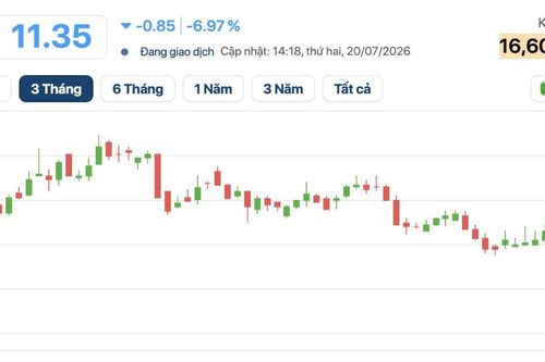 Mất cổ đông lớn, cổ phiếu của Bluemarq Group nhanh chóng lăn sàn