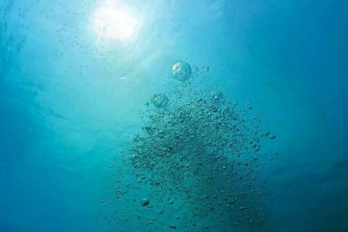 Oxy trong nước dần cạn, đe dọa lớn đến Trái đất