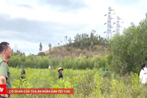 Hàng trăm người tìm kiếm người đàn ông mất tích bí ẩn
