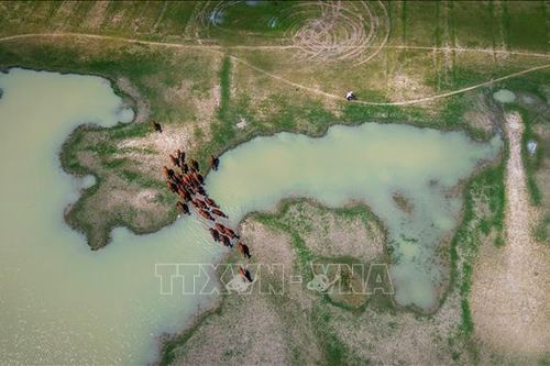 Mở dư địa phát triển kinh tế xanh từ 'lá phổi' vùng Đông Nam Bộ