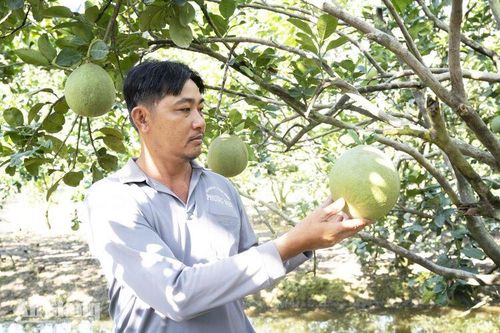 Vĩnh An đổi thay