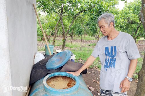 Sử dụng vi sinh bản địa làm nông nghiệp tuần hoàn