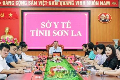 Góp ý hoàn thiện Đề án Kiểm soát mất cân bằng giới tính khi sinh giai đoạn 2026-2035