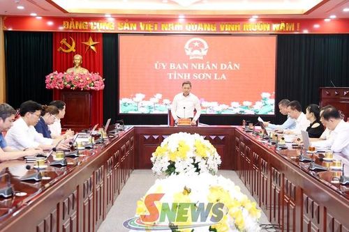 Tháo gỡ vướng mắc Dự án Nhà máy chế biến hoa quả Solas