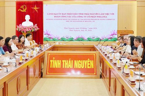 Thái Nguyên tiếp nhận 331 hồ sơ theo cơ chế 'Luồng xanh'