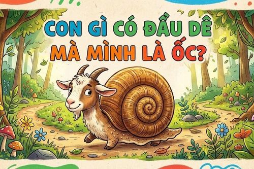 Con gì có đầu dê mà mình là ốc?