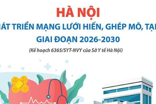 Hà Nội phát triển mạng lưới hiến, ghép mô, tạng giai đoạn 2026-2030