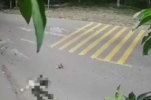 Hai xe máy va chạm trong đêm, 4 người thương vong