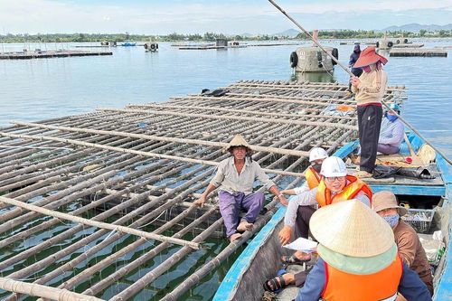 Đẩy nhanh tiến độ bàn giao mặt bằng Dự án khu neo đậu tránh trú bão An Hòa
